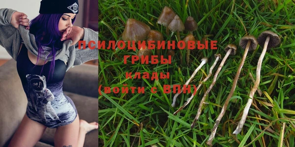 трава Балахна