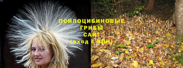 кокс Балабаново