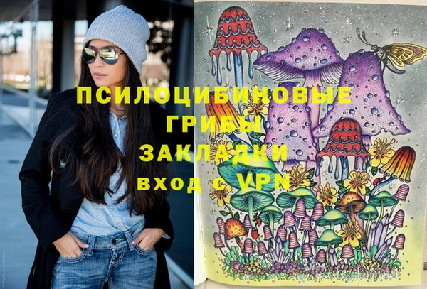 ешки Протвино